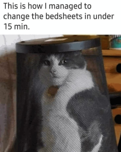 1734978936973.png
