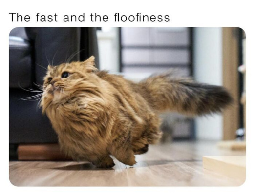 1735015617943.png