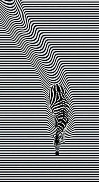 1735031344294.png