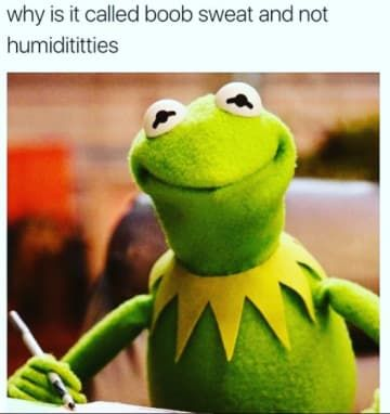 1735069951286.png