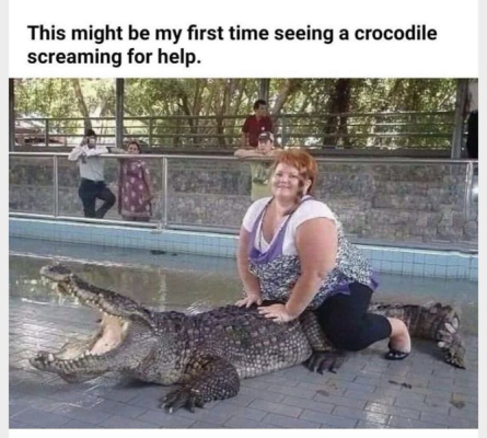 1735234561089.png