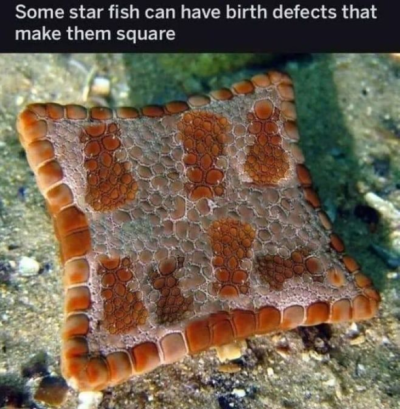 1735329875881.png
