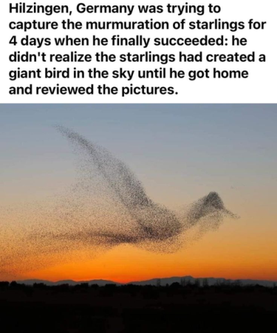 1735329970020.png