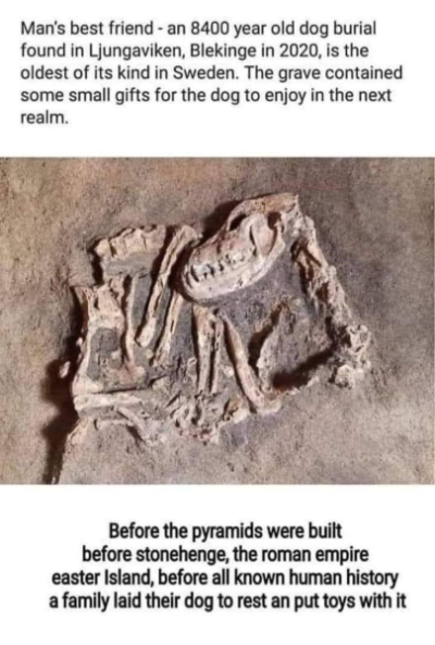 1735330041672.png