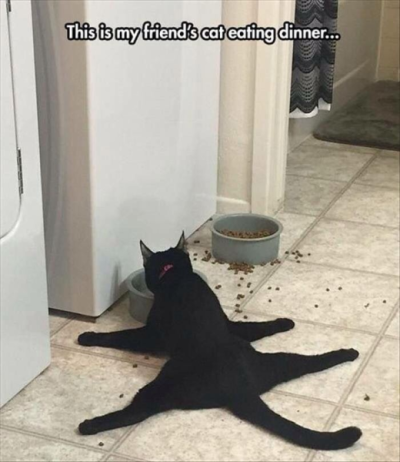 1735414323989.png