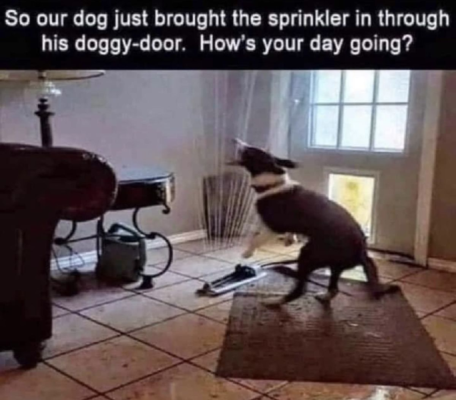 1735414721106.png
