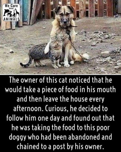 1735581918432.png