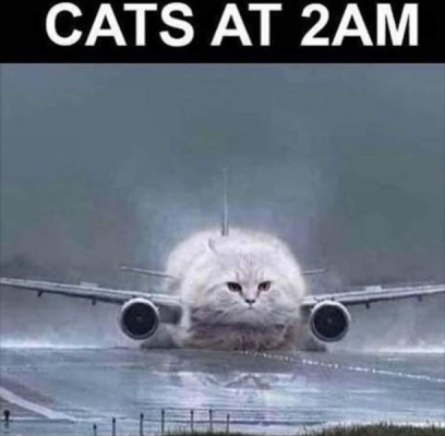1735590256776.png