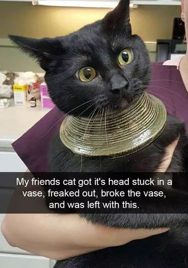 1735591321786.png