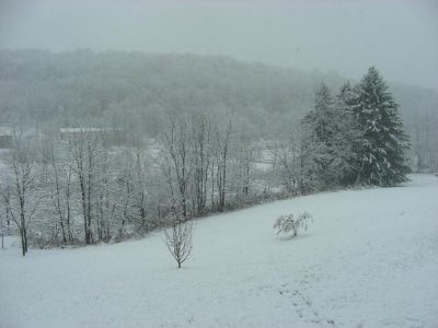 DSCN0036.jpg DSCN0036.jpg