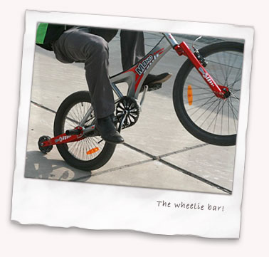 wheelie-bar.jpg