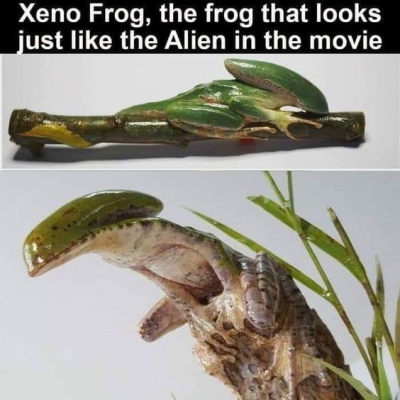 1735751443267.png