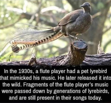 1735800407948.png