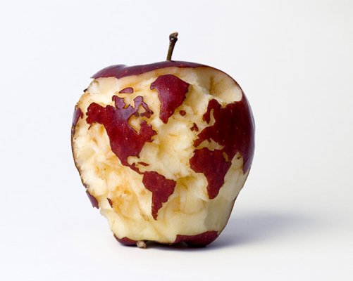 appleglobeweb by kevin van aelst.jpg