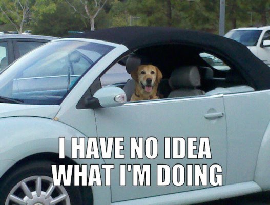 ihavenoideawhatimdoinglol.jpg