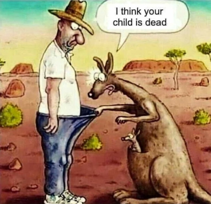 1735882323634.png