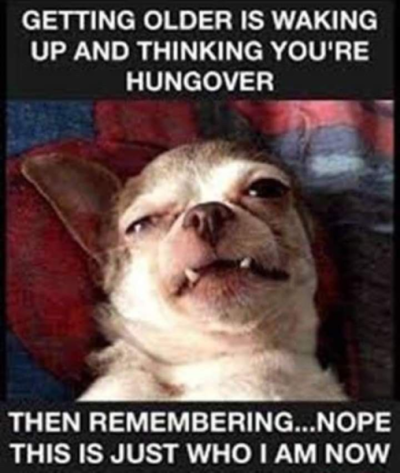 1736027178235.png
