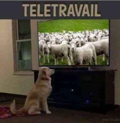 1736027377009.png