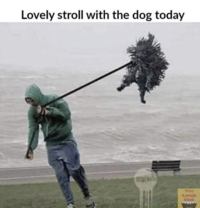 1736269730217.png