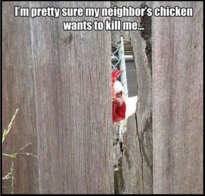 1736269812534.png