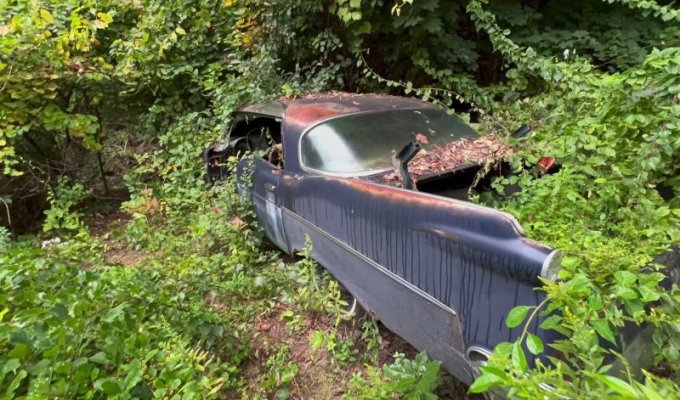 creepy-abandoned-house-has-big-finned-mopars-buried-in-the-yard-245185_1.jpg