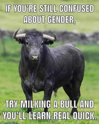 1736441717563.png
