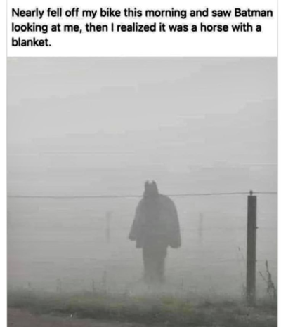 1736491011089.png