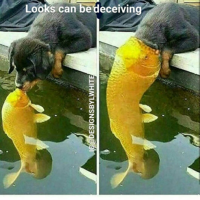 1736493855368.png