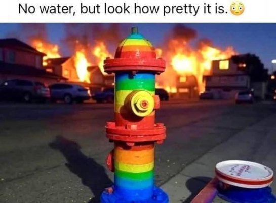 IMG_1075.jpeg