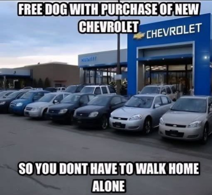 1736570967309.png