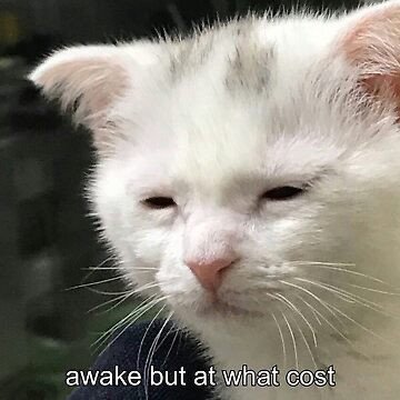 1736773635537.jpeg