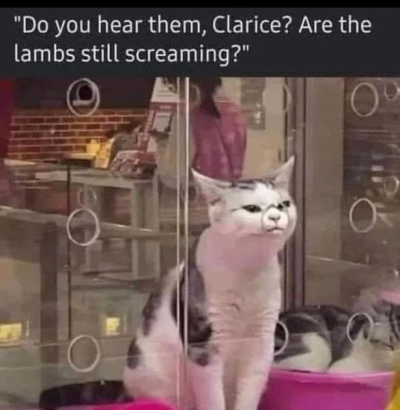 1736960687998.png