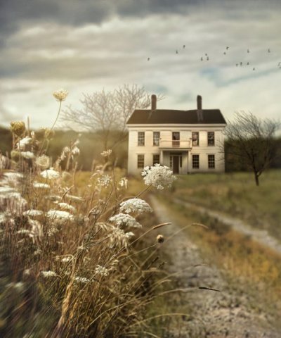 old-abandoned-house-with-country-path-sandra-cunningham.jpg