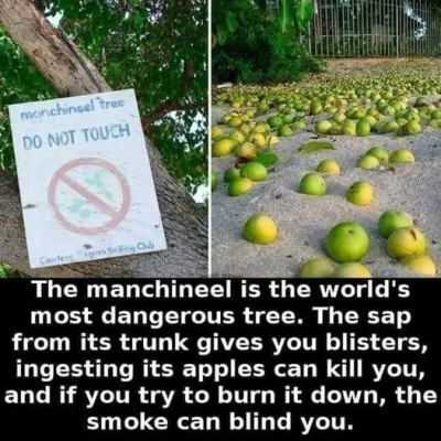 1737219210449.png