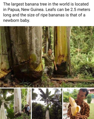 1737219293856.png