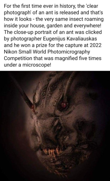 1737270352654.png