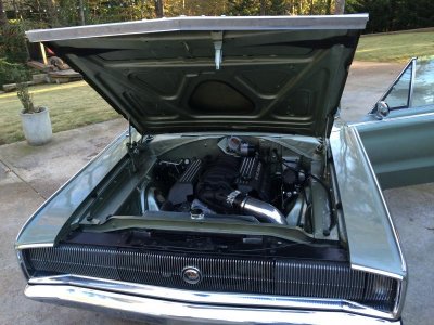 IMG_1936.jpg IMG_1936.jpg