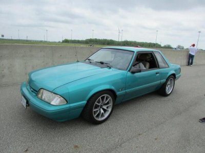 stang1.jpg