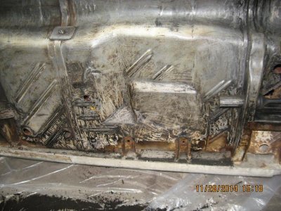 IMG_0769.jpg IMG_0769.jpg