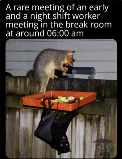 1737365369509.png