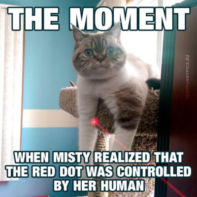 1737393315475.png