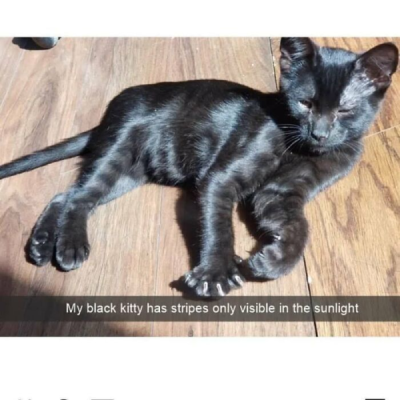 1737430253733.png