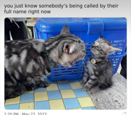 1737430344355.png