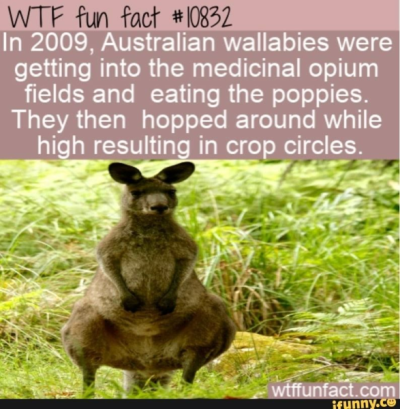 1737577615449.png