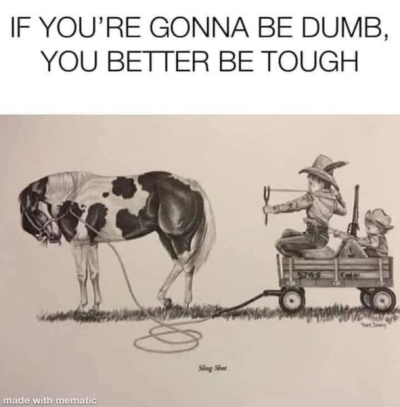 1737580226870.png