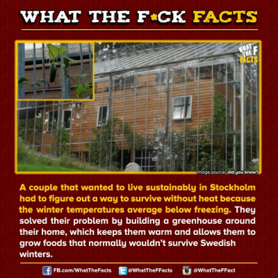 1737594286342.png
