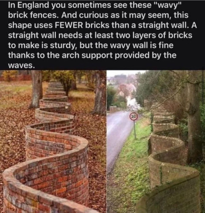 1737595110334.png