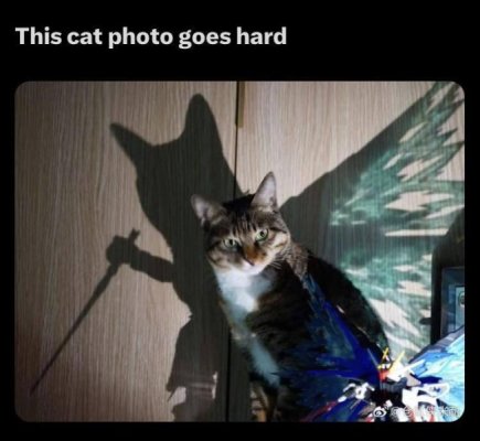 1737718778516.jpeg