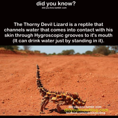 1737771662498.png