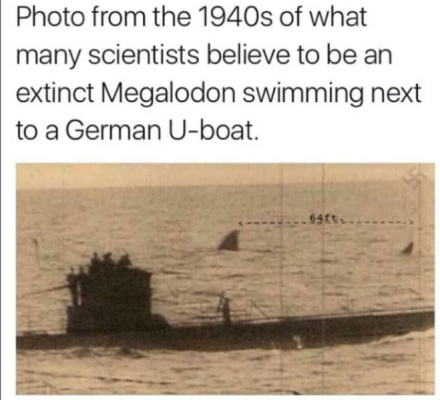 1737772612229.png